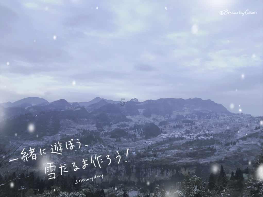 春雨直播app