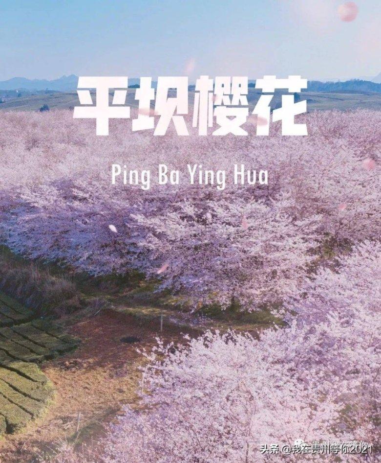 解答你所有问题-我该怎么拒绝亲戚?