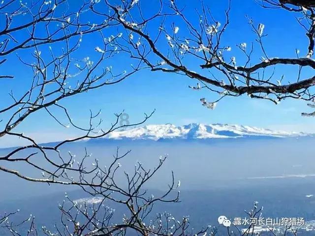 58问答交流平台-学英语是学美式英语比较好还是英式英语比较好?