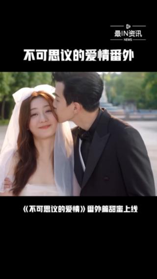 动物帮帮忙保卫家园