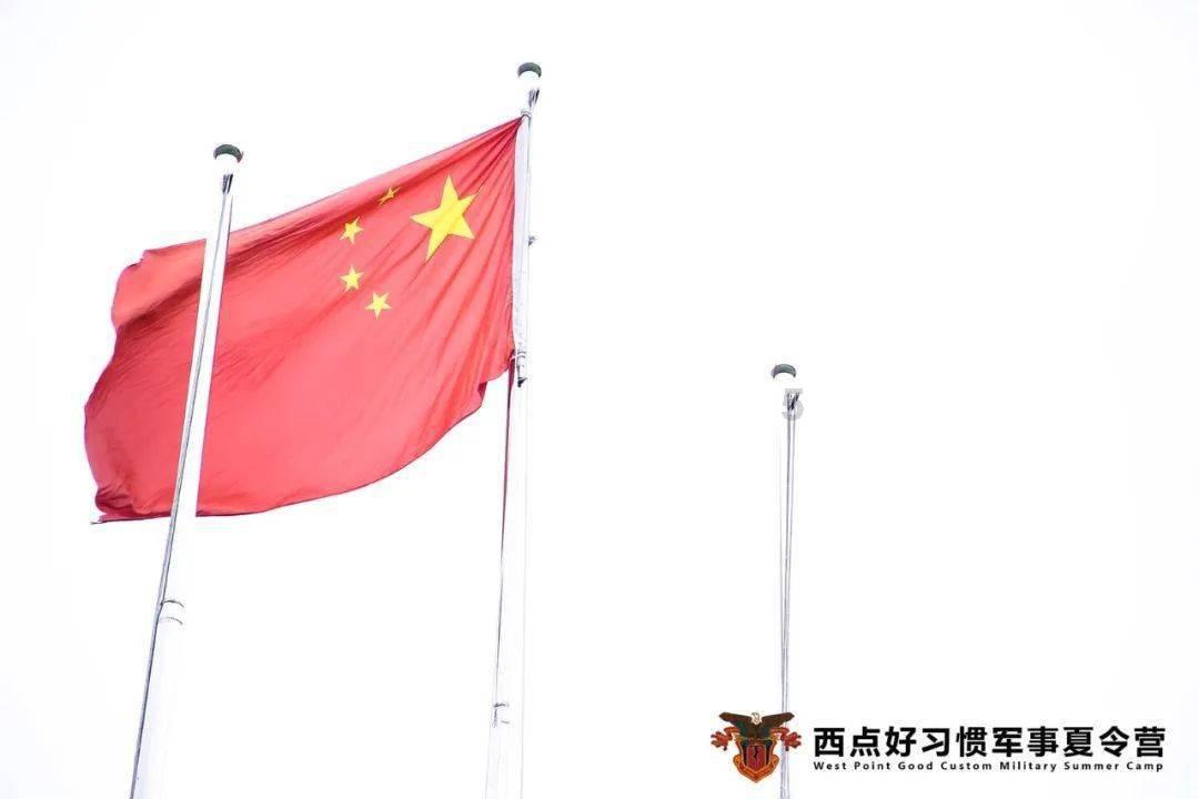 全民烧脑3去广告版