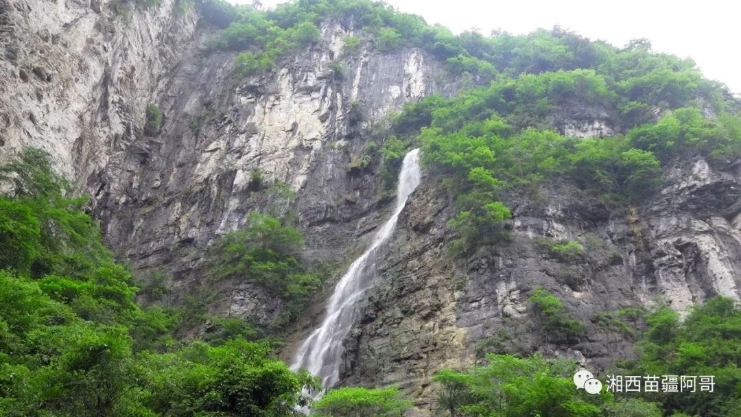 探寻知识星球-小学音乐老师教师资格证要怎么考?,启迪智慧成长